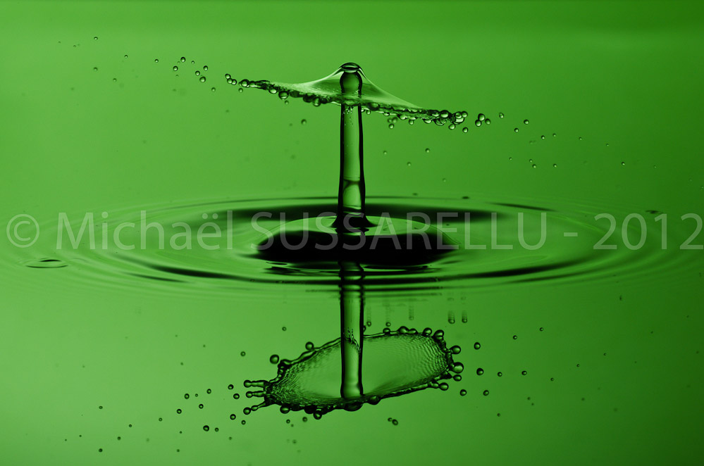 Photographie - Macro - Goutte d'eau - Collision de goutte - Water drop - Water collision - Water sculpture (101)