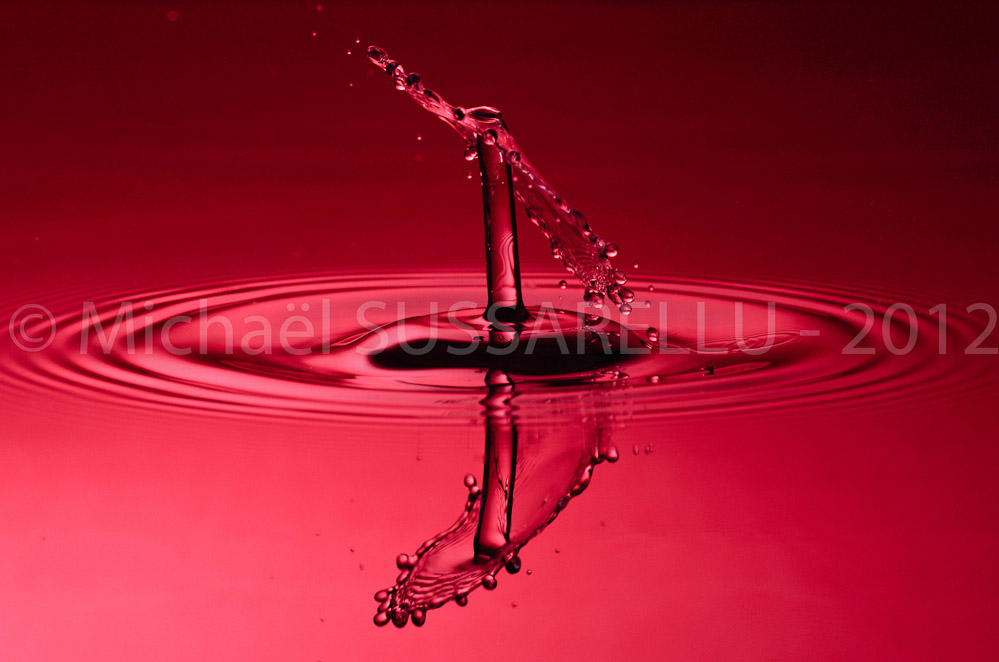 Photographie - Macro - Goutte d'eau - Collision de goutte - Water drop - Water collision - Water sculpture (108)