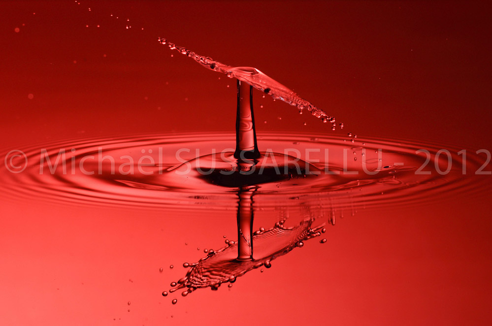 Photographie - Macro - Goutte d'eau - Collision de goutte - Water drop - Water collision - Water sculpture (109)
