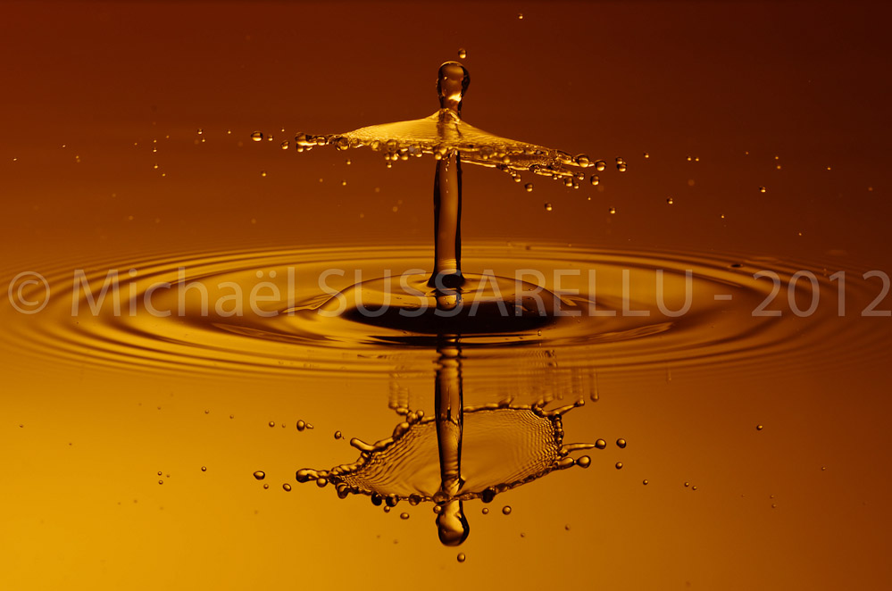 Photographie - Macro - Goutte d'eau - Collision de goutte - Water drop - Water collision - Water sculpture (112)