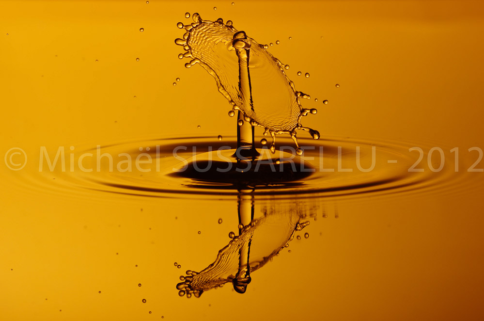 Photographie - Macro - Goutte d'eau - Collision de goutte - Water drop - Water collision - Water sculpture (113)