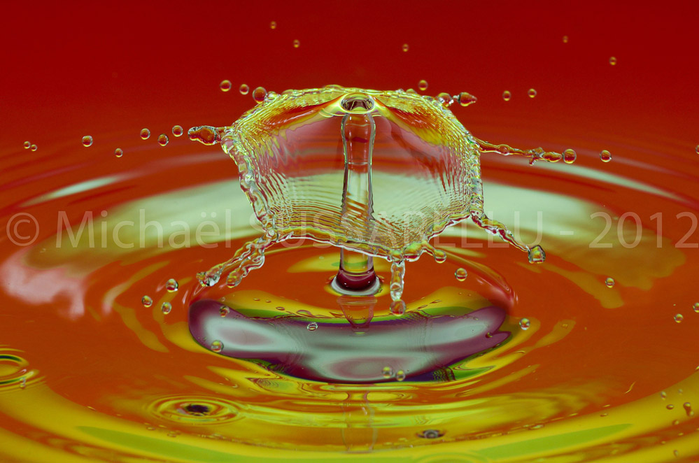 Photographie - Macro - Goutte d'eau - Collision de goutte - Water drop - Water collision - Water sculpture (150)