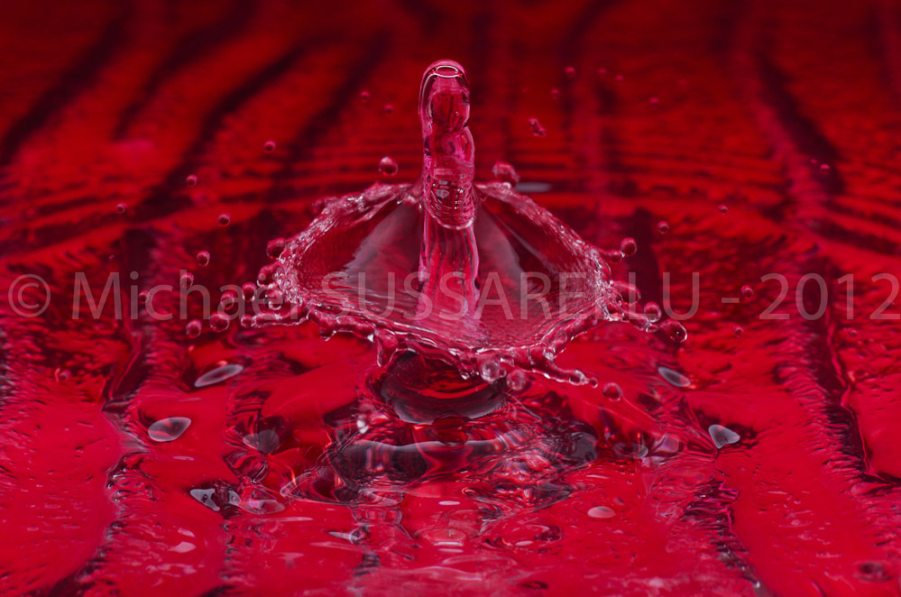 Photographie - Macro - Goutte d'eau - Collision de goutte - Water drop - Water collision - Water sculpture (232)