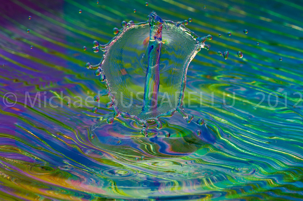 Photographie - Macro - Goutte d'eau - Collision de goutte - Water drop - Water collision - Water sculpture (287)