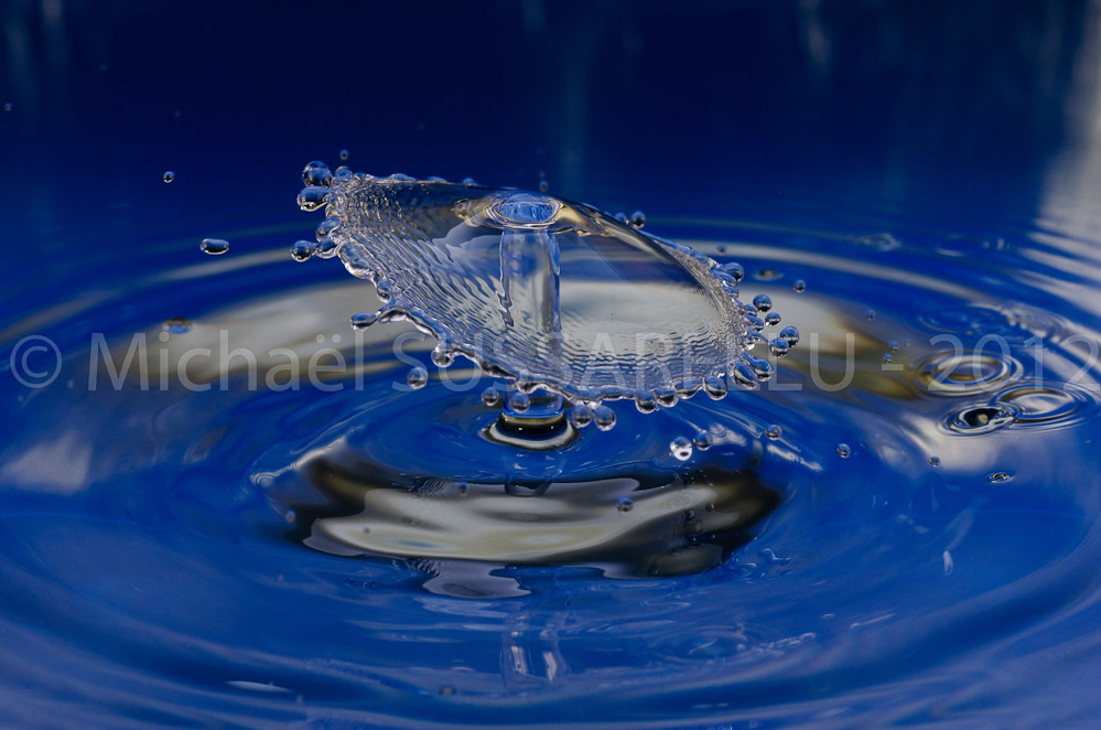Photographie - Macro - Goutte d'eau - Collision de goutte - Water drop - Water collision - Water sculpture (314)
