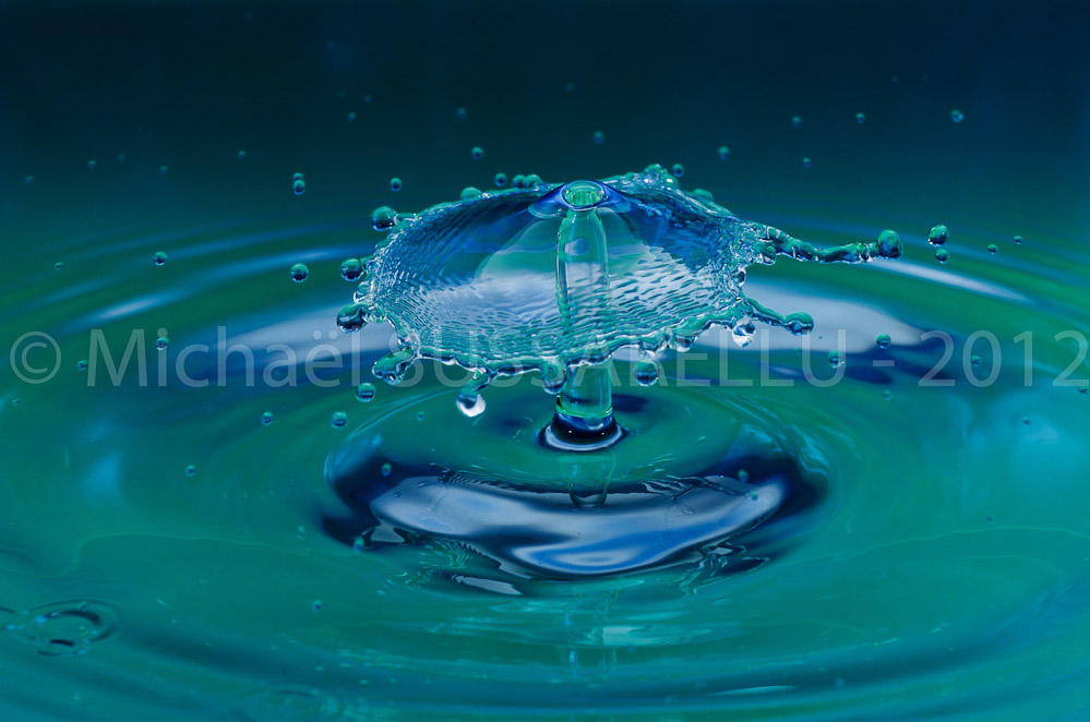 Photographie - Macro - Goutte d'eau - Collision de goutte - Water drop - Water collision - Water sculpture (324)