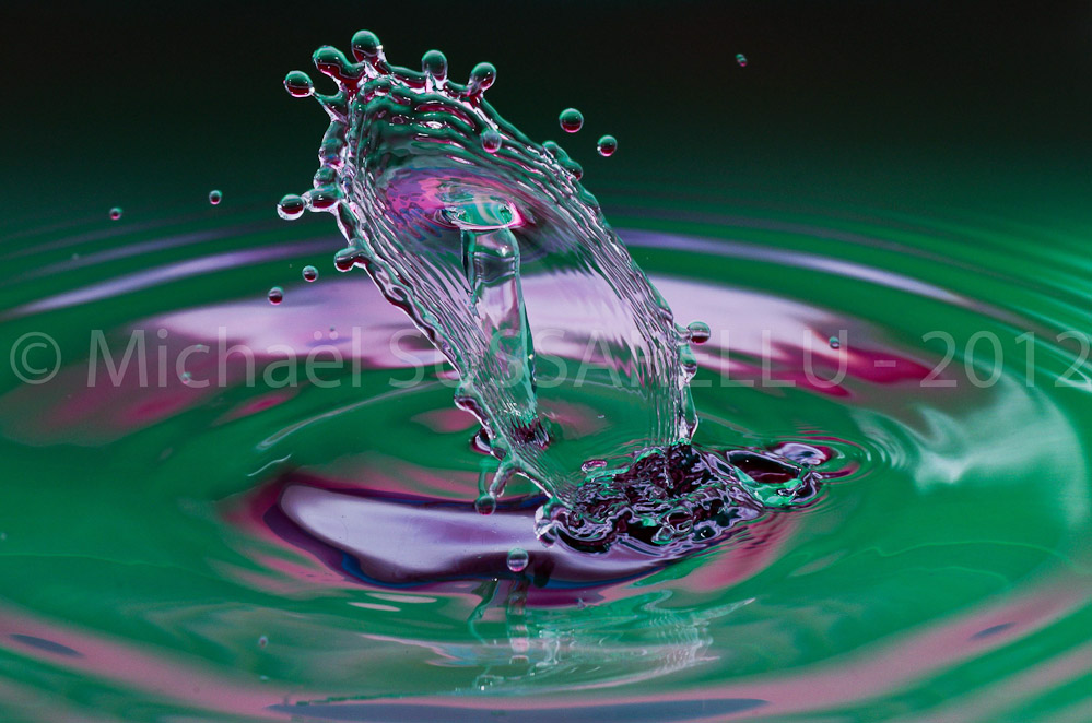 Photographie - Macro - Goutte d'eau - Collision de goutte - Water drop - Water collision - Water sculpture (331)