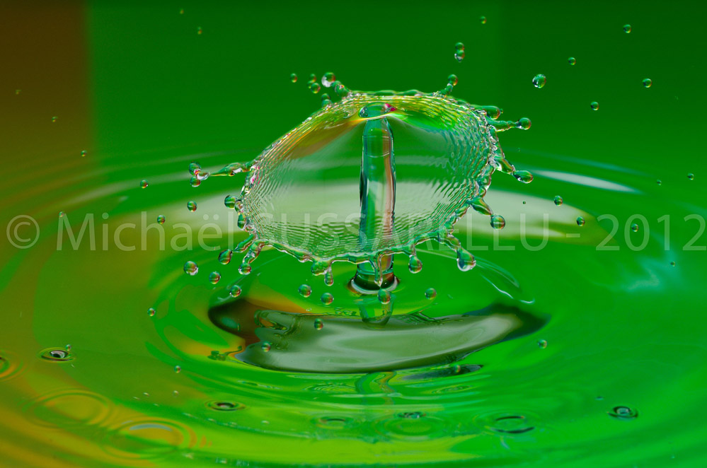 Photographie - Macro - Goutte d'eau - Collision de goutte - Water drop - Water collision - Water sculpture (334)