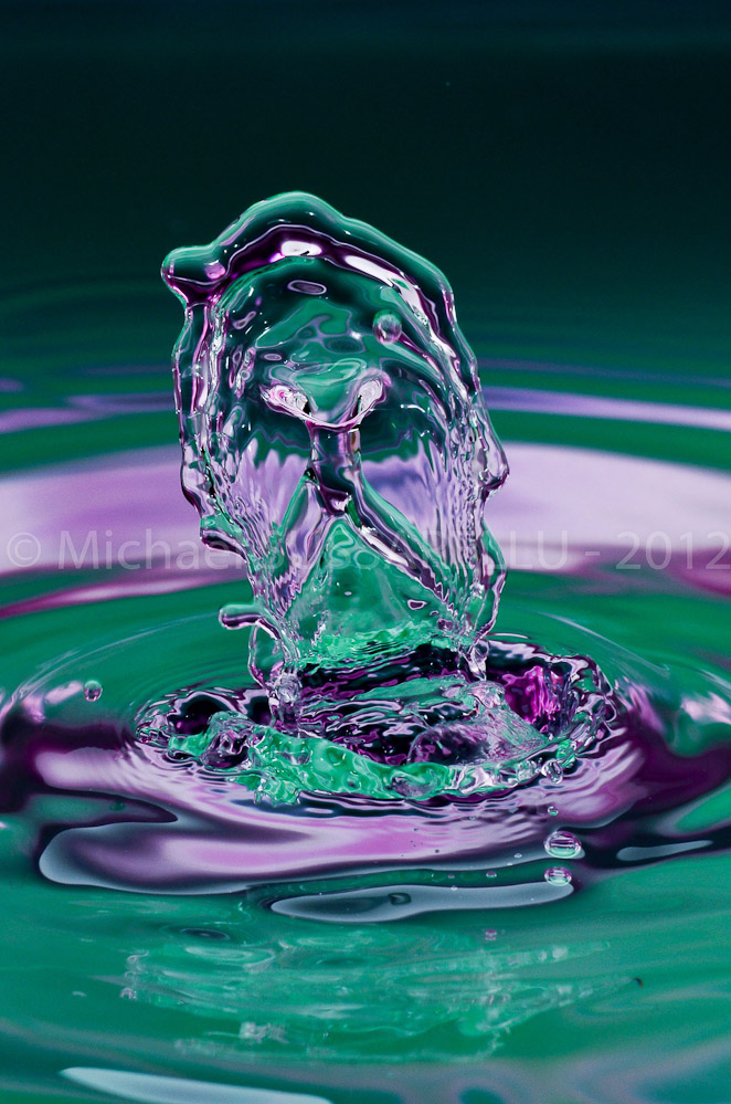 Photographie - Macro - Goutte d'eau - Collision de goutte - Water drop - Water collision - Water sculpture (340)