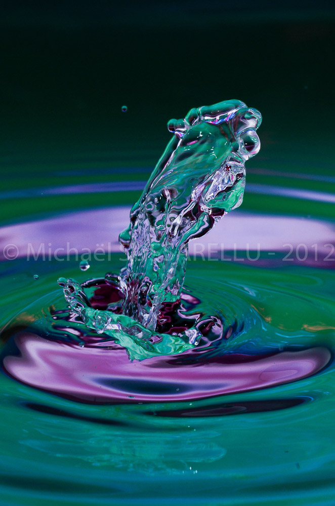 Photographie - Macro - Goutte d'eau - Collision de goutte - Water drop - Water collision - Water sculpture (344)