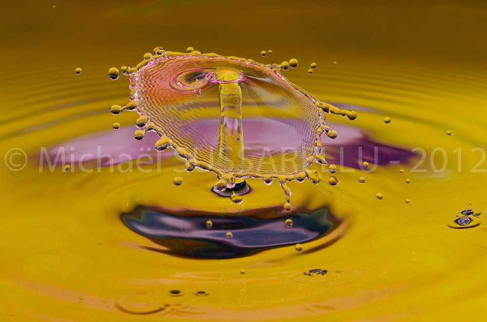 Photographie - Macro - Goutte d'eau - Collision de goutte - Water drop - Water collision - Water sculpture (355)