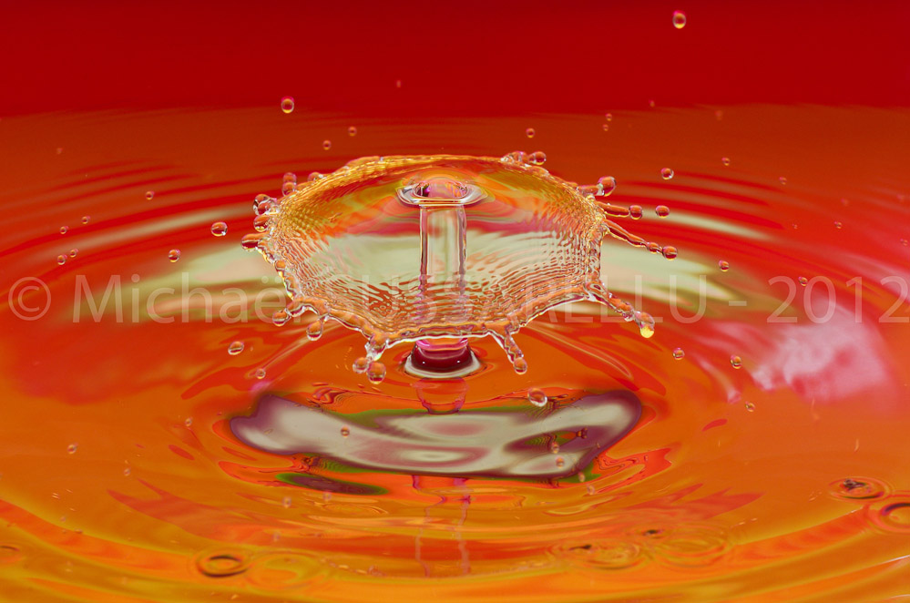 Photographie - Macro - Goutte d'eau - Collision de goutte - Water drop - Water collision - Water sculpture (356)