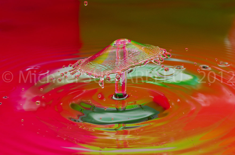 Photographie - Macro - Goutte d'eau - Collision de goutte - Water drop - Water collision - Water sculpture (357)