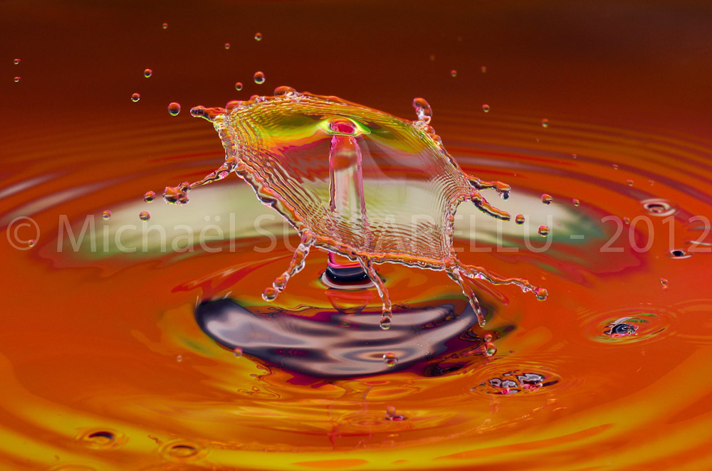 Photographie - Macro - Goutte d'eau - Collision de goutte - Water drop - Water collision - Water sculpture (360)