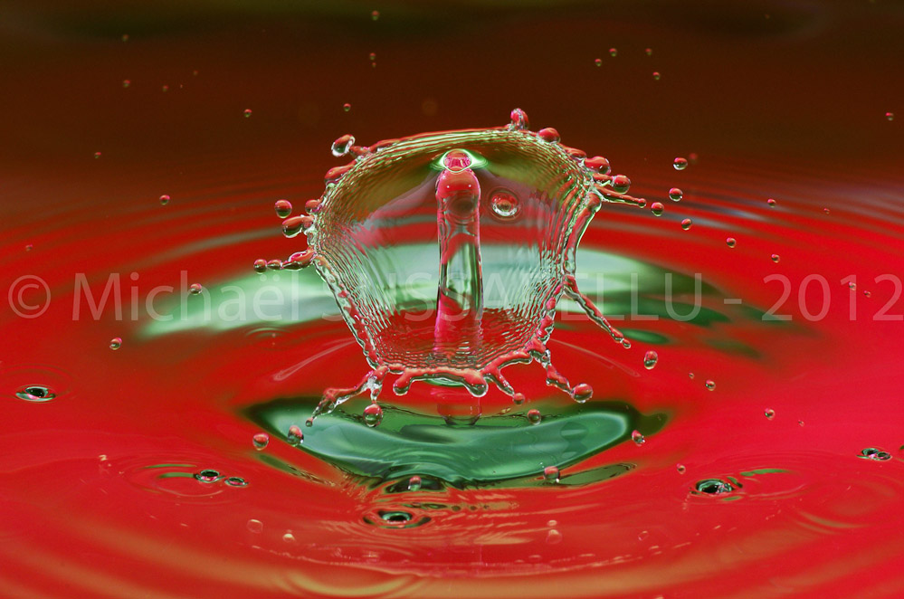 Photographie - Macro - Goutte d'eau - Collision de goutte - Water drop - Water collision - Water sculpture (362)