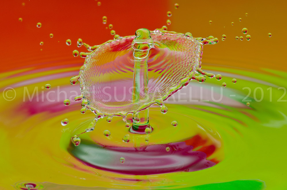 Photographie - Macro - Goutte d'eau - Collision de goutte - Water drop - Water collision - Water sculpture (387)