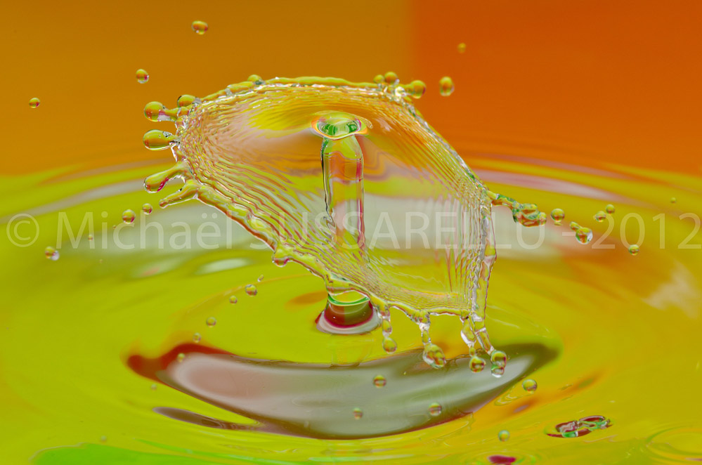 Photographie - Macro - Goutte d'eau - Collision de goutte - Water drop - Water collision - Water sculpture (389)