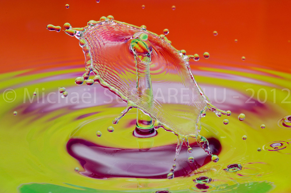 Photographie - Macro - Goutte d'eau - Collision de goutte - Water drop - Water collision - Water sculpture (391)