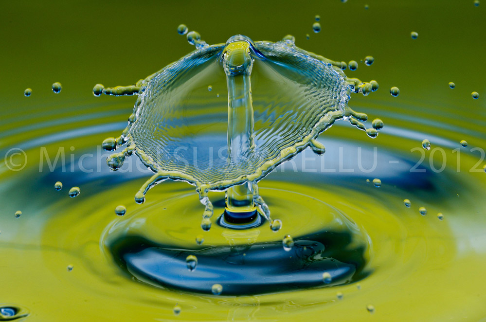 Photographie - Macro - Goutte d'eau - Collision de goutte - Water drop - Water collision - Water sculpture (401)