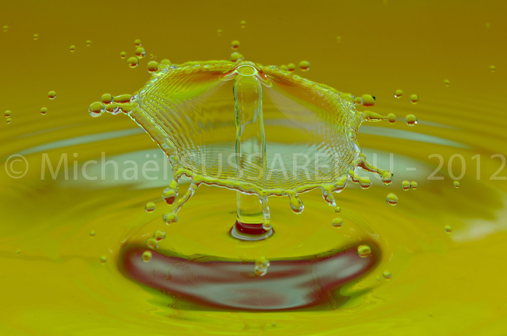 Photographie - Macro - Goutte d'eau - Collision de goutte - Water drop - Water collision - Water sculpture (405)