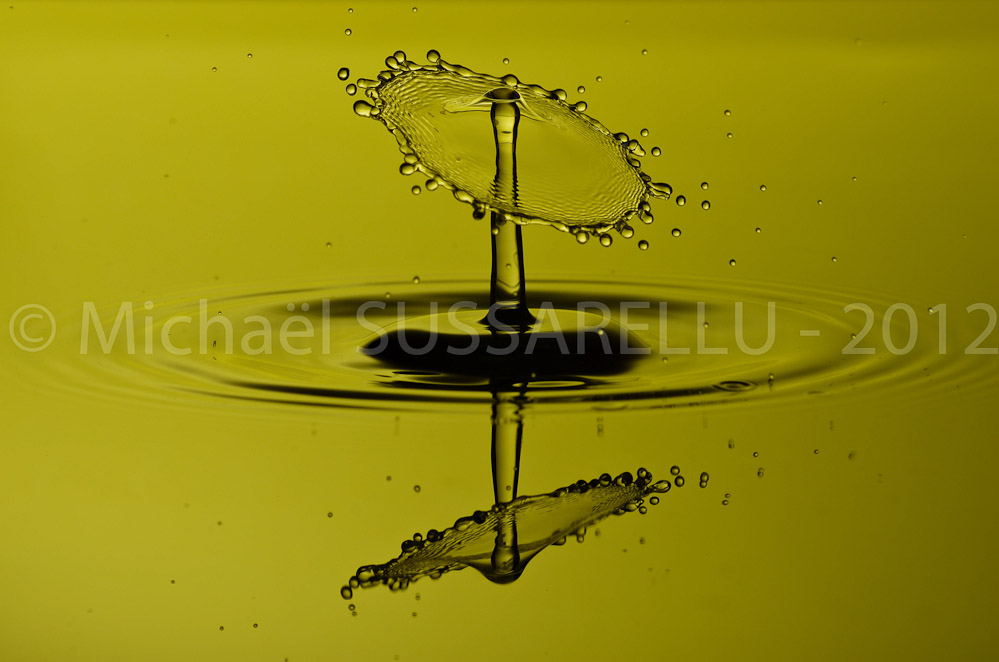 Photographie - Macro - Goutte d'eau - Collision de goutte - Water drop - Water collision - Water sculpture (99)